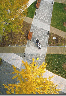 Le nouvel aménagement de la place.